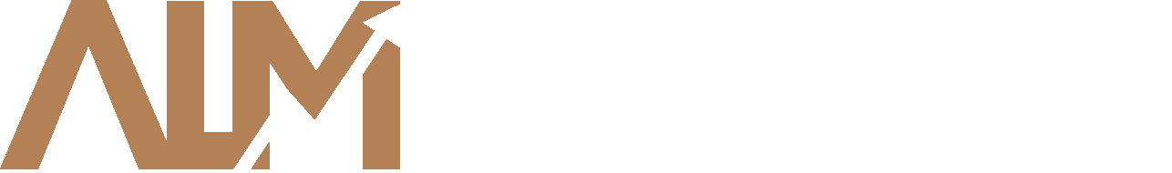 accountants Cairo Atef-Lamie auditors Egypt